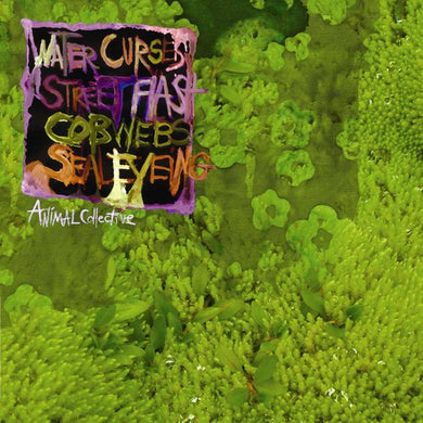 Animal Collective: Water Curses (Vinyl LP)