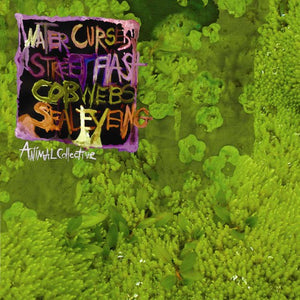 Animal Collective: Water Curses (Vinyl LP)