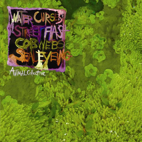 Animal Collective: Water Curses (Vinyl LP)