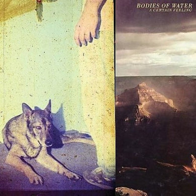 Bodies of Water: A Certain Feeling (Vinyl LP)