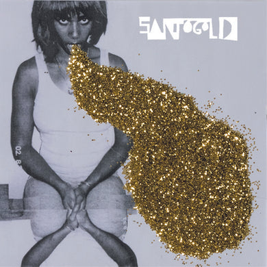 Santigold: Santigold (Vinyl LP)
