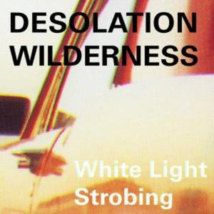 Desolation Wilderness: White Light Strobing (Vinyl LP)