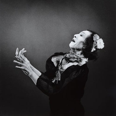Antony & the Johnsons: The Crying Light (Vinyl LP)