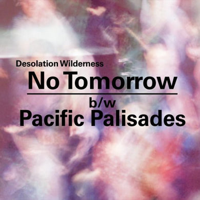 Desolation Wilderness: No Tomorrow/Pacific Palisades (7-Inch Single)