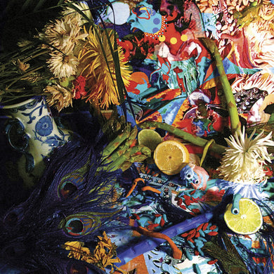 Animal Collective: Summertime Clothes (12-Inch Single)