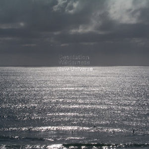 Desolation Wilderness: New Universe (Vinyl LP)