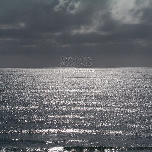 Desolation Wilderness: New Universe (Vinyl LP)