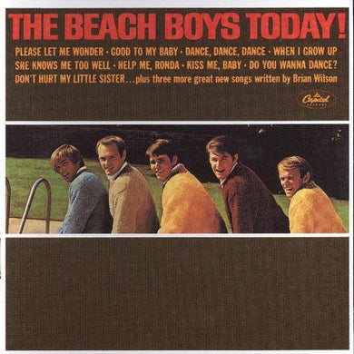 The Beach Boys: Today (Vinyl LP)