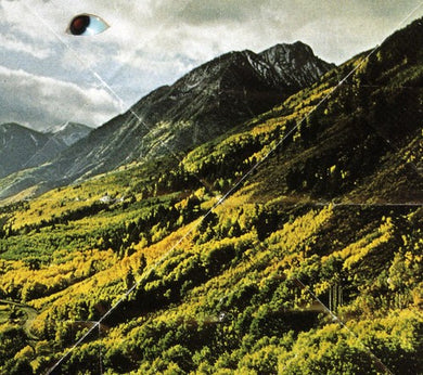 Woods: Songs of Shame (Vinyl LP)