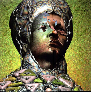 Yeasayer: Odd Blood (Vinyl LP)