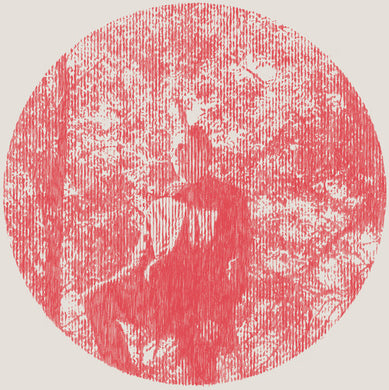 Owen Pallett: Heartland (Vinyl LP)