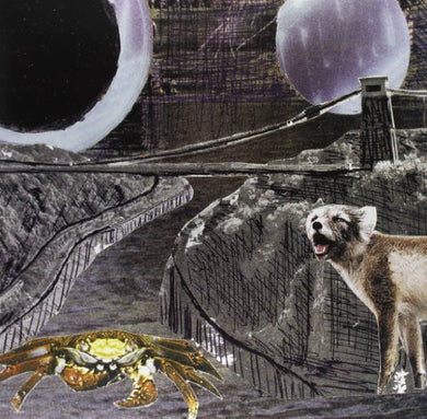 Deerhoof: Green Cosmos (Vinyl LP)