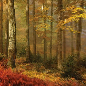 People of the North: Deep Tissue (Vinyl LP)