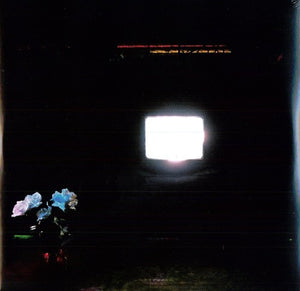 Emeralds: Does It Look Like I'm Here? (Vinyl LP)