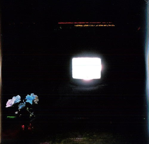 Emeralds: Does It Look Like I'm Here? (Vinyl LP)