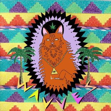 Wavves: King of the Beach (Vinyl LP)