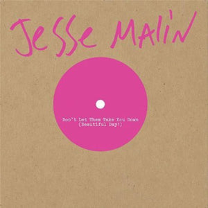 Jesse Malin: Don't Let Them Take You Down (7-Inch Single)