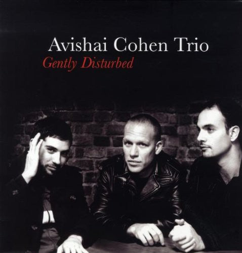 Cohen Avishai: Gently Disturbed (Vinyl LP)