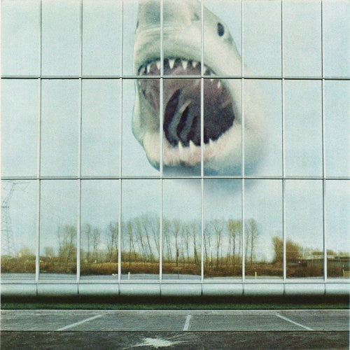 Black Mountain: Wilderness Heart (Vinyl LP)
