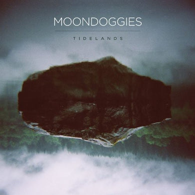 The Moondoggies: Tidelands (Vinyl LP)