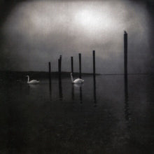 Om: Conference of the Birds (Vinyl LP)