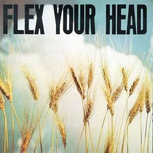 Flex Your Head / Various: Flex Your Head (Vinyl LP)