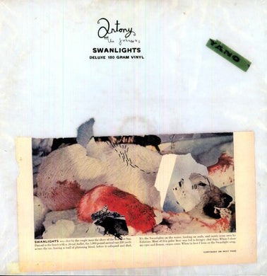 Antony & the Johnsons: Swanlights (Vinyl LP)