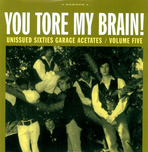 Various Artists: You Tore My Brain Sixties Garage Acetates, Vol. 5 (Vinyl LP)