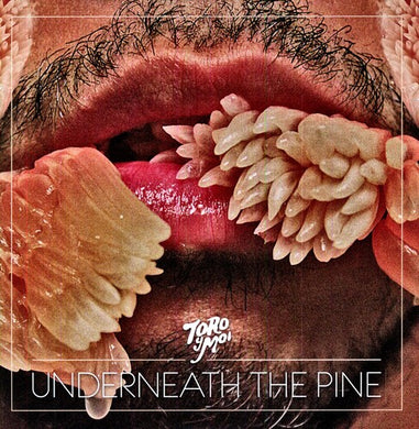 Toro Y Moi: Underneath the Pine (Vinyl LP)