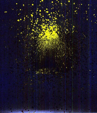 Antlers: Burst Apart (Vinyl LP)