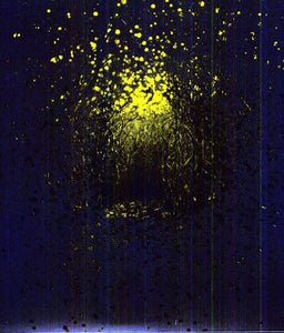 Antlers: Burst Apart (Vinyl LP)