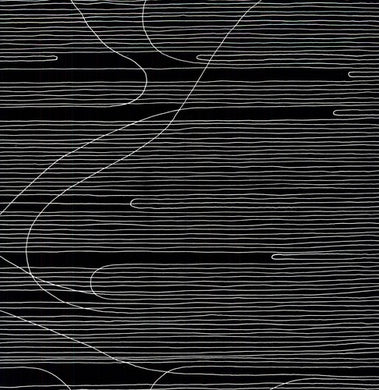 Oneida: Absolute II (Vinyl LP)