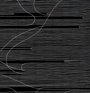 Oneida: Absolute II (Vinyl LP)