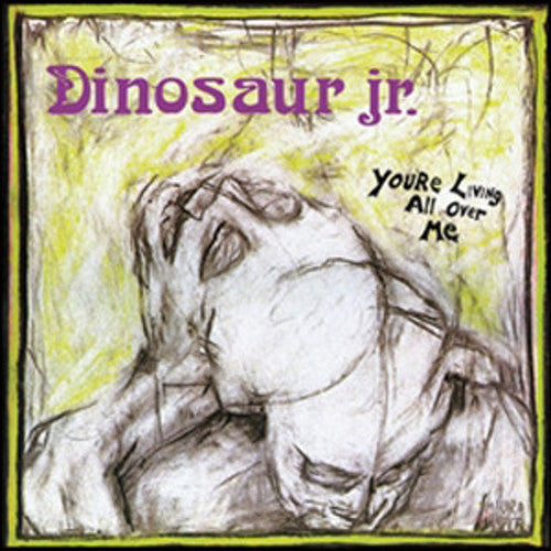 Dinosaur Jr: You're Living All Over Me (Vinyl LP)