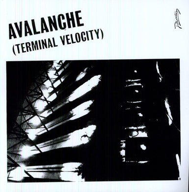 Alkan, Erol / Boys Noize: Avalanche (Terminal Velocity) (12-Inch Single)