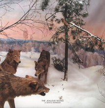 The Jealous Sound: A Gentle Reminder (Vinyl LP)