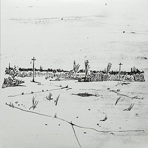 Besnard Lakes: You Lived in the City (12-Inch Single)