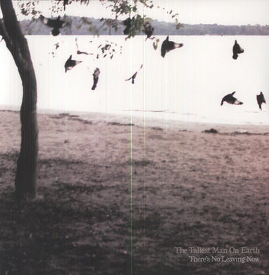 Tallest Man on Earth: There's No Leaving Now (Vinyl LP)