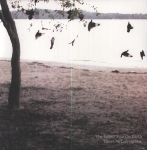 Tallest Man on Earth: There's No Leaving Now (Vinyl LP)