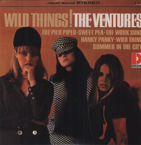 Ventures: Wild Things (Vinyl LP)