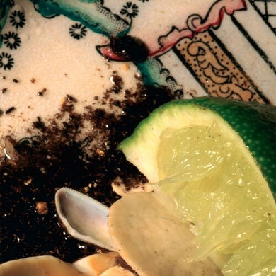 Dozzy, Donato: Plays Bee Mask (Vinyl LP)
