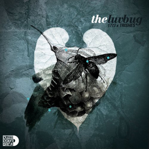1773: Luv Bug (Vinyl LP)