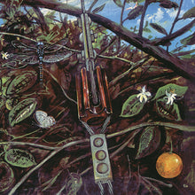Dragonfly: Dragonfly (Vinyl LP)
