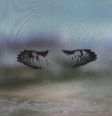 Shoes & Socks Off: Miles of Mad Water (Vinyl LP)