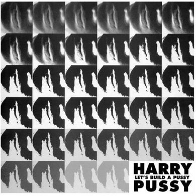 Harry Pussy: Let's Build a Pussy (Vinyl LP)