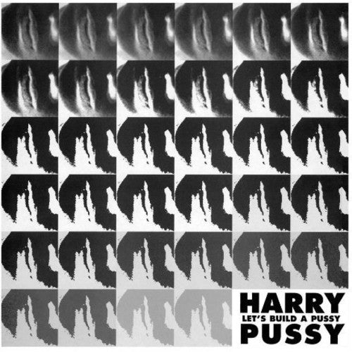 Harry Pussy: Let's Build a Pussy (Vinyl LP)