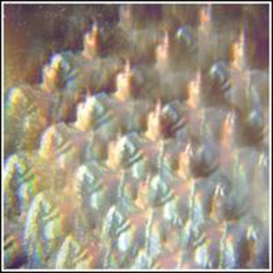 Stealing Sheep: Into the Diamond Sun (Vinyl LP)