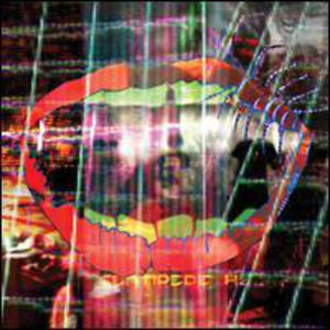 Animal Collective: Centipede HZ (Vinyl LP)