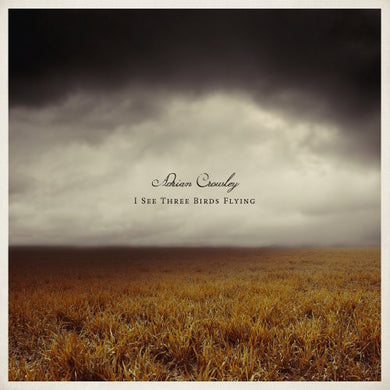 Crowley, Adrian: I See Three Birds Flying (Vinyl LP)