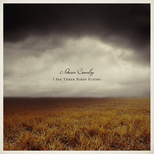 Crowley, Adrian: I See Three Birds Flying (Vinyl LP)